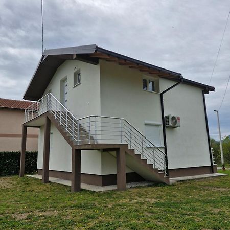 Knezevic Apartman Podgorica Bagian luar foto