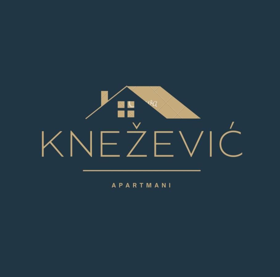 Knezevic Apartman Podgorica Bagian luar foto