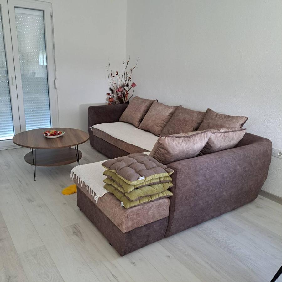 Knezevic Apartman Podgorica Bagian luar foto