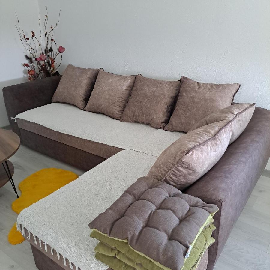 Knezevic Apartman Podgorica Bagian luar foto