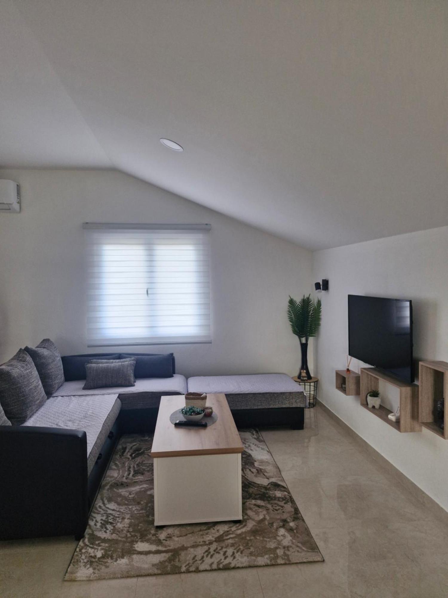 Knezevic Apartman Podgorica Bagian luar foto